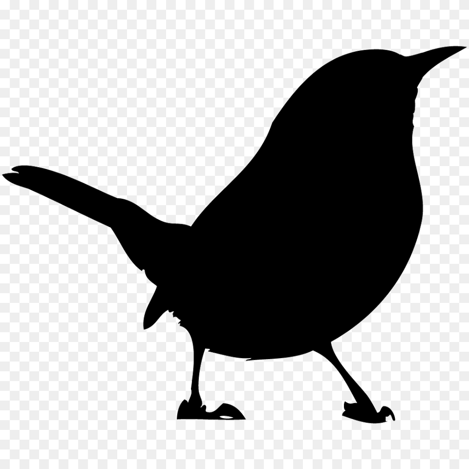 Clip Art Wren Bird, Silhouette, Animal, Blackbird, Cat Free Png