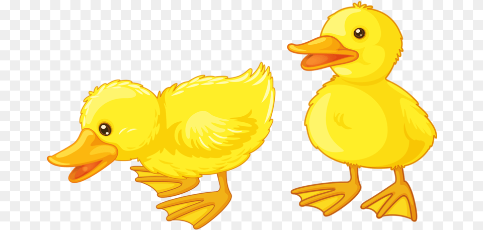 Clip Art Yellow Duck, Animal, Bird, Beak Png Image