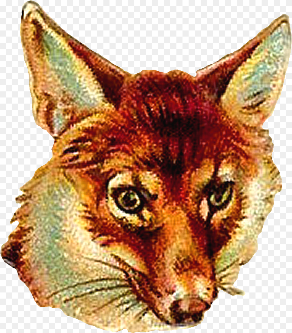 Clip Arts Related To Victorian Animal Clip Art, Mammal, Coyote, Canine, Dinosaur Png Image