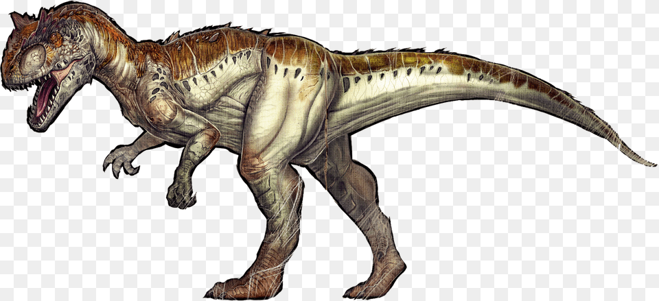Clip Black And White Allosaurus Survival Evolved Carnotaurus Allosaurus Ark, Animal, Dinosaur, Reptile, T-rex Free Png