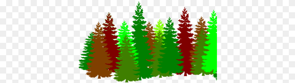 Clip Black And White Pine Tree Line K Pictures Forest Clipart, Conifer, Fir, Plant, Green Free Png Download