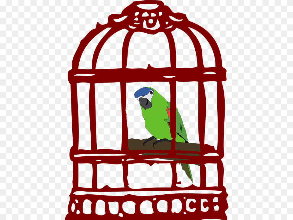 Clip Black And White Library Collection Of Caging Bird In A Cage Clipart, Animal, Parakeet, Parrot, Railway Free Png