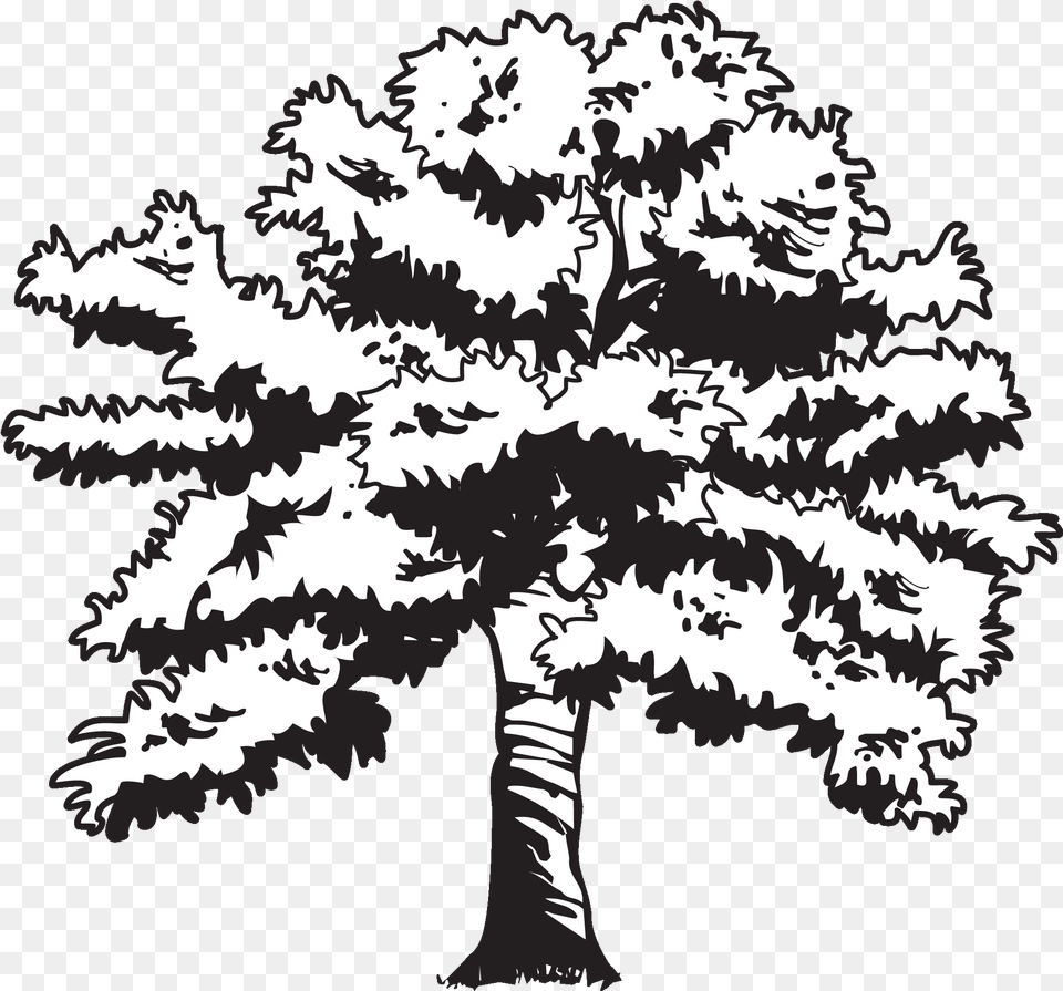 Clip Black And White Library Oak At Getdrawings Com Oak Tree Drawing Transparent, Stencil, Plant, Silhouette, Reptile Png Image