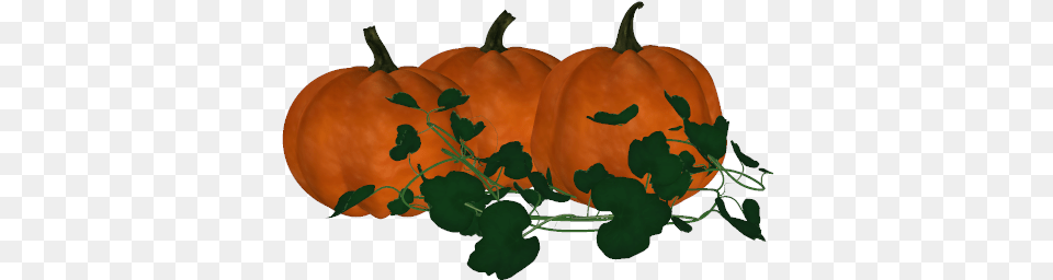 Clip Black And White Pumpkin Vine At Getdrawings Com Real Pumpkin Vine, Food, Plant, Produce, Vegetable Free Transparent Png