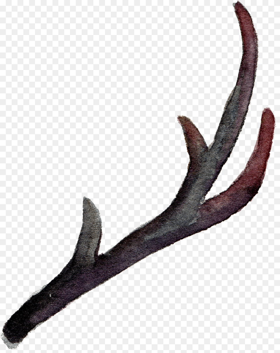 Clip Download Antler Horn Painting Leaves Falling Element Reindeer Antlers, Animal, Bird Free Png