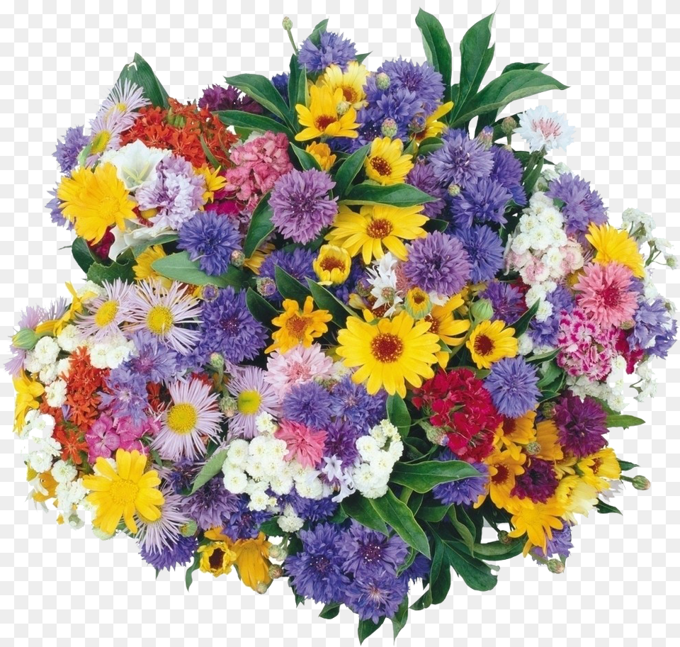 Clip Download Bouquet Youtube Animation Color Chrysanthemums Flower Bouquet Animation, Dahlia, Daisy, Flower Arrangement, Flower Bouquet Free Transparent Png
