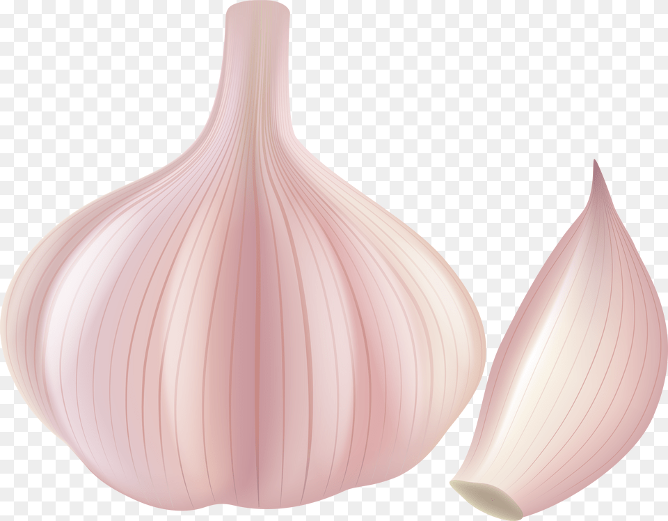 Clip Download Clip Art Gallery Yopriceville Garlic Clipart Free Transparent Png