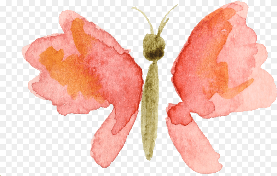 Clip Download Craftberry Bush Transparent Watercolor Butterfly, Flower, Petal, Plant, Rose Free Png