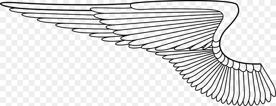 Clip Download Wing Mitchell Johnson Si Angel Wings Vector, Gray Png Image