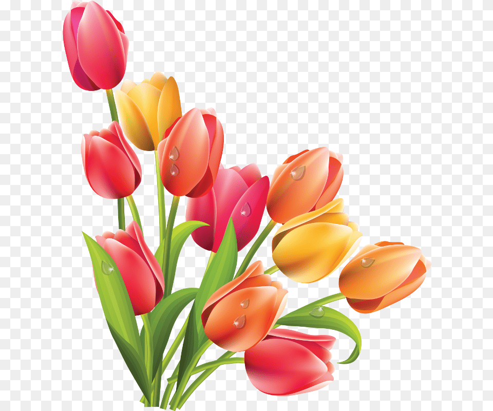 Clip Flowers Flowers Tulips Easter, Flower, Flower Arrangement, Flower Bouquet, Plant Png