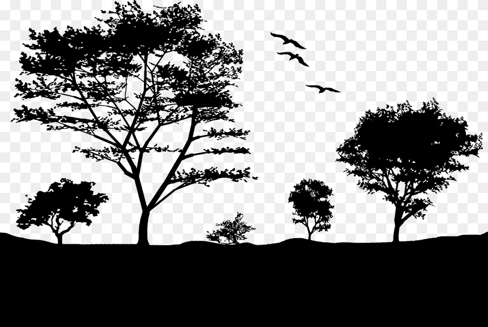 Clip Freeuse Birds Silhouette Trees Natu Silhouettes Silhouette Tree, Gray Free Png Download