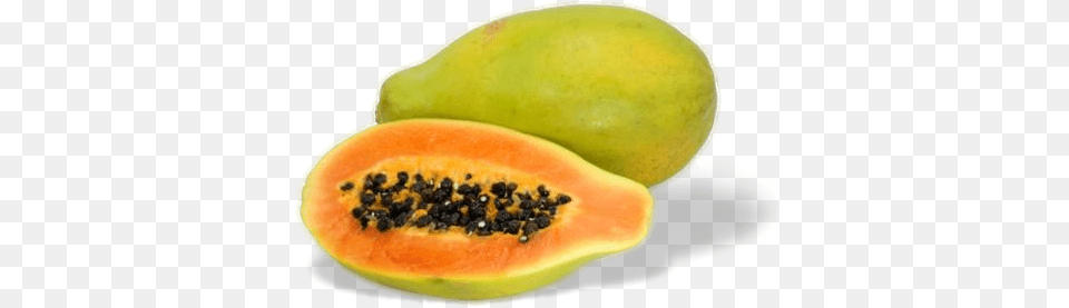 Clip Freeuse Download Jr Jhay Farm And Gardening Papayas Variedades De La Papaya, Food, Fruit, Plant, Produce Png Image