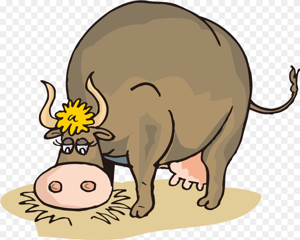 Clip Freeuse Stock Beef Clipart Cow Jersey Cartoon Cow Eating Hay, Animal, Hog, Mammal, Pig Png