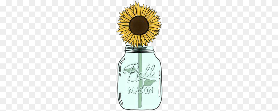 Clip Library Library Sticker Pegantina Calcomanias Sunflower Merchandise, Jar, Flower, Plant, Bottle Png
