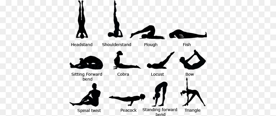 Clip Library Stock How To Learn Hatha For Quora 12 Basic Yoga Asanas, Adult, Female, Person, Woman Free Png Download