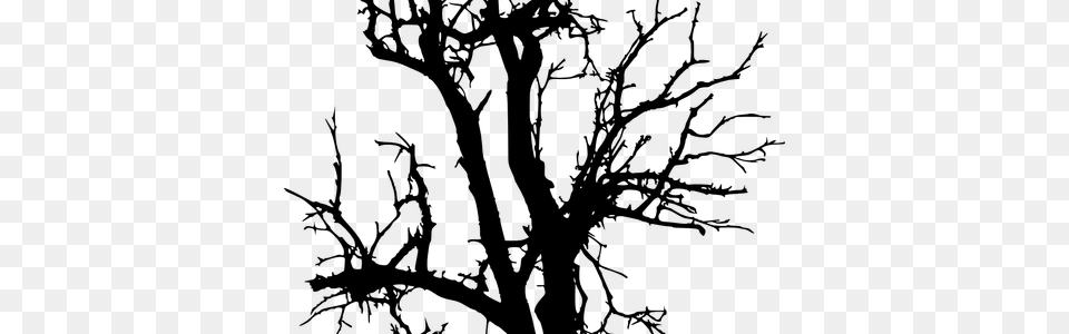 Clip Library Tree Silhouette Drawing K Pictures Full Portable Network Graphics, Oak, Plant, Sycamore, Person Free Transparent Png
