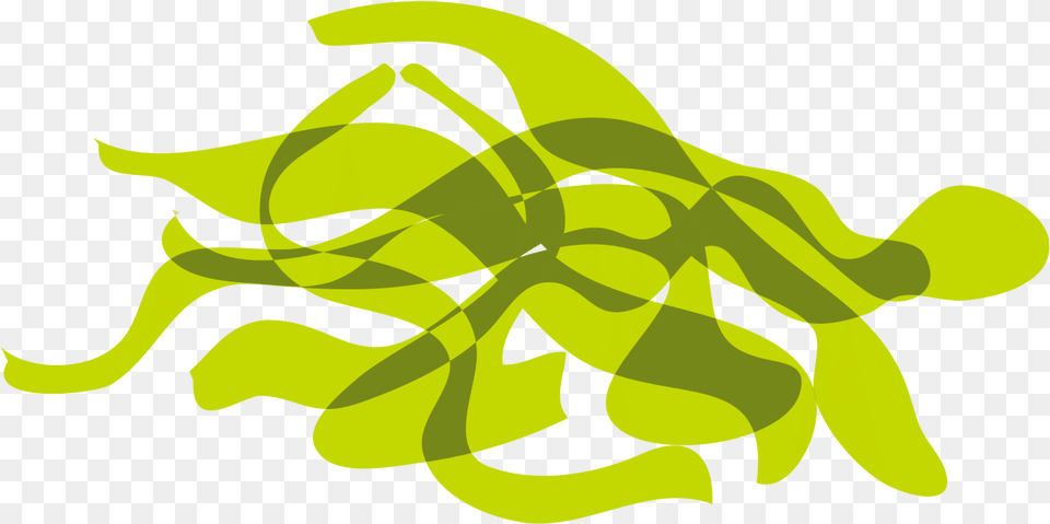Clip Picture Kelp Graphic Design, Art, Graphics, Green, Symbol Png