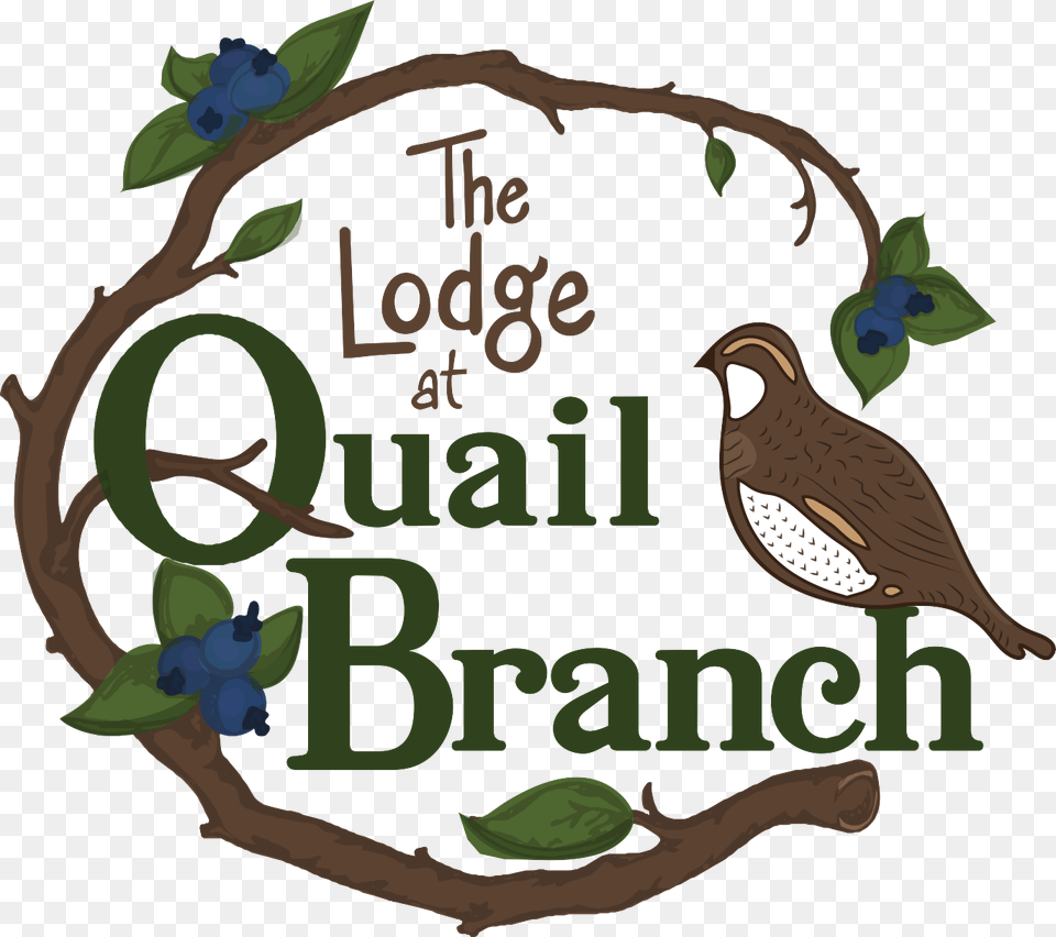 Clip Royalty Branch Lodge South Georgia, Animal, Bird, Quail, Partridge Free Transparent Png