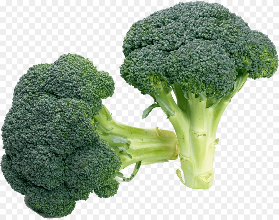 Clip Royalty Download Broccoli Vegetable Food Free Png