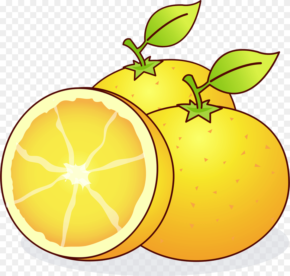 Clipart, Citrus Fruit, Food, Fruit, Grapefruit Free Png Download