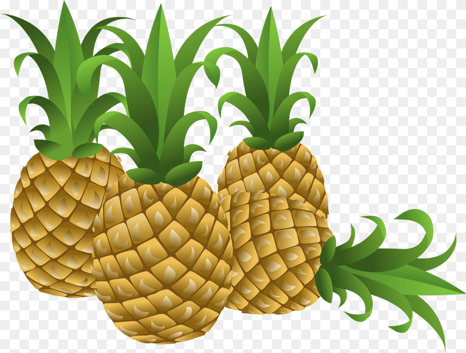 Clipart, Food, Fruit, Pineapple, Plant Png