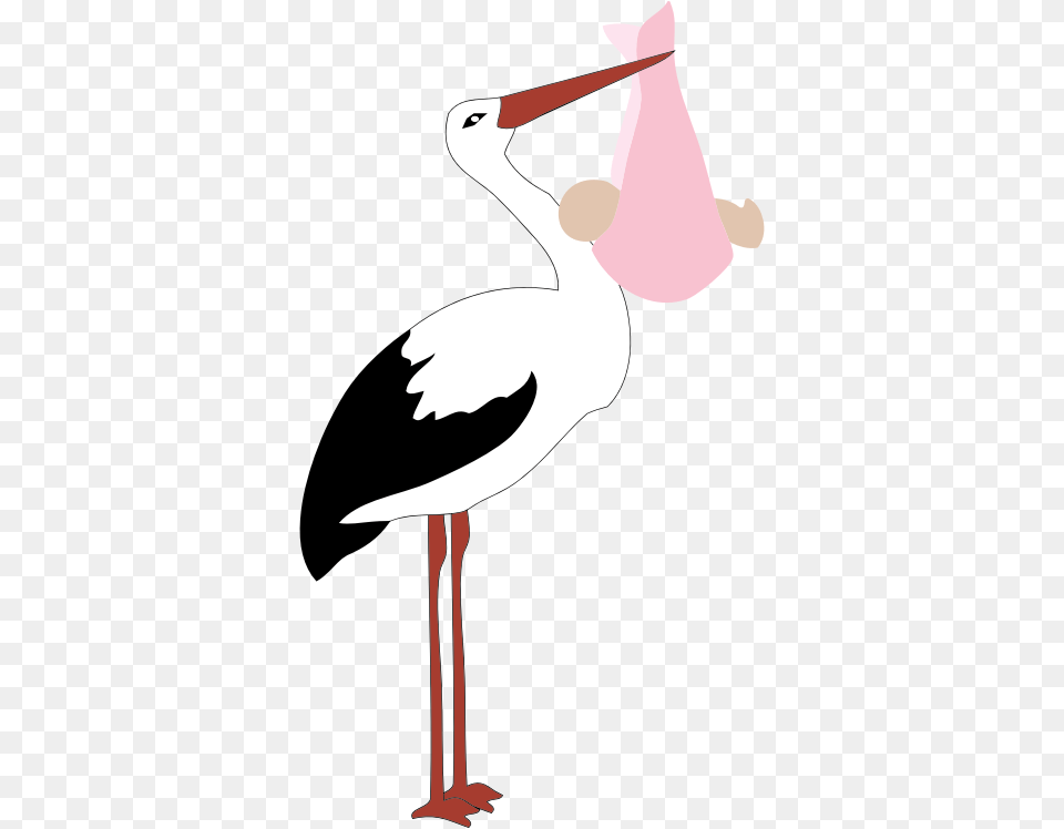 Clipart, Animal, Bird, Waterfowl, Stork Png Image
