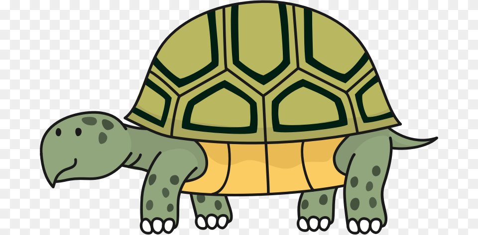 Clipart, Animal, Reptile, Sea Life, Tortoise Png