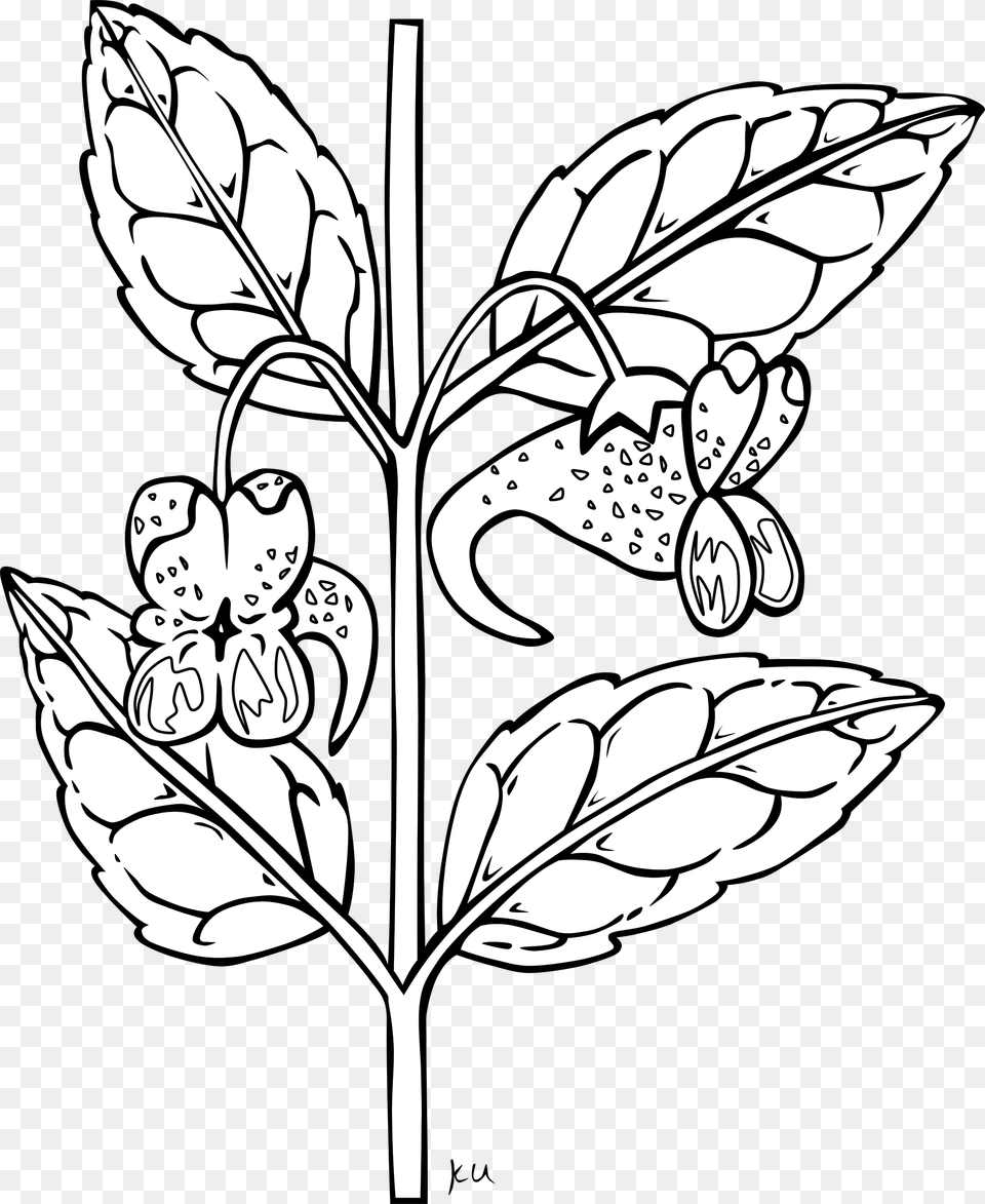 Clipart, Plant, Leaf, Stencil, Art Free Transparent Png