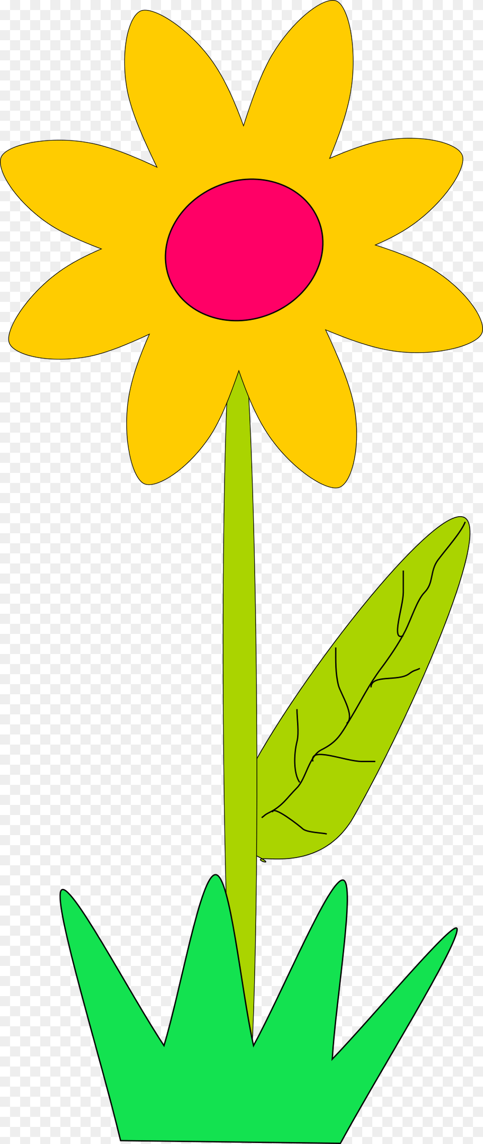 Clipart, Daisy, Plant, Flower, Petal Free Png Download