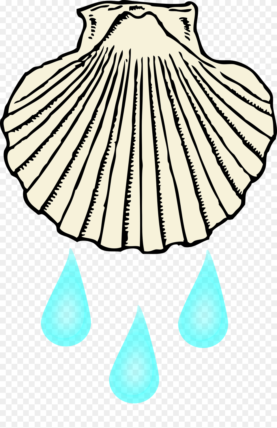 Clipart, Animal, Clam, Food, Invertebrate Free Png Download