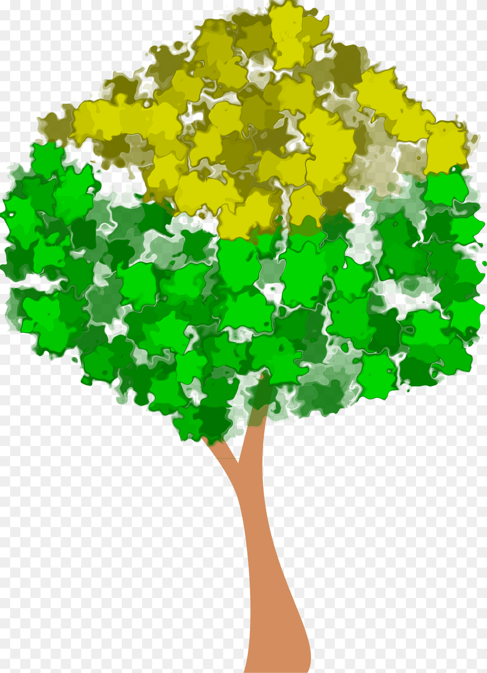 Clipart, Plant, Tree, Vegetation, Oak Free Png