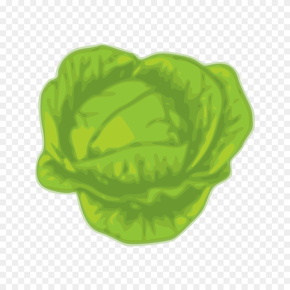 Clipart, Food, Produce, Leafy Green Vegetable, Plant Free Transparent Png