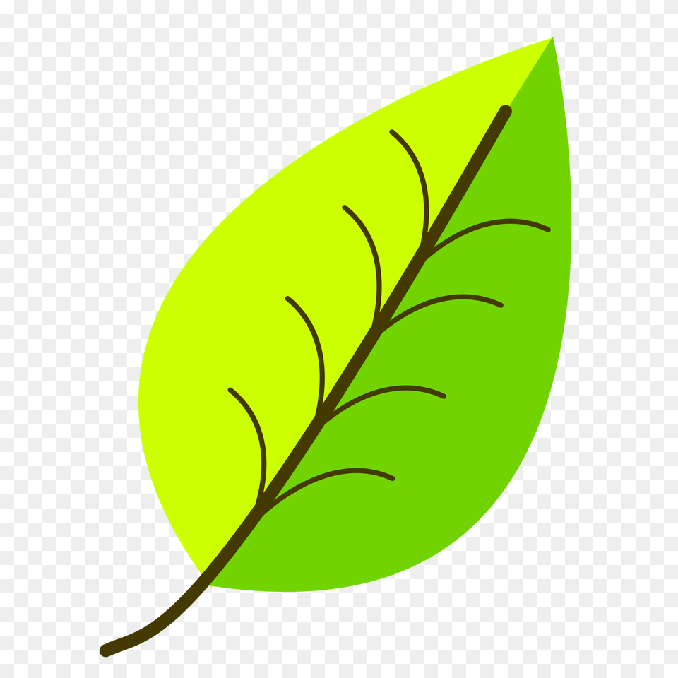 Clipart, Leaf, Plant, Astronomy, Moon Free Png