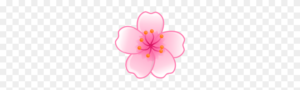 Clipart, Flower, Plant, Petal, Cherry Blossom Png