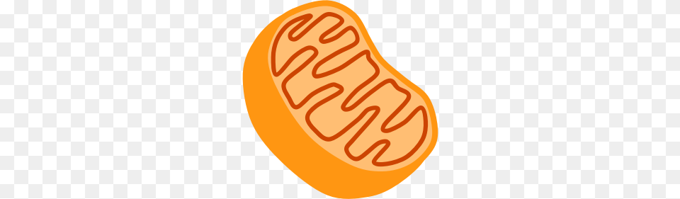 Clipart, Food, Produce Png