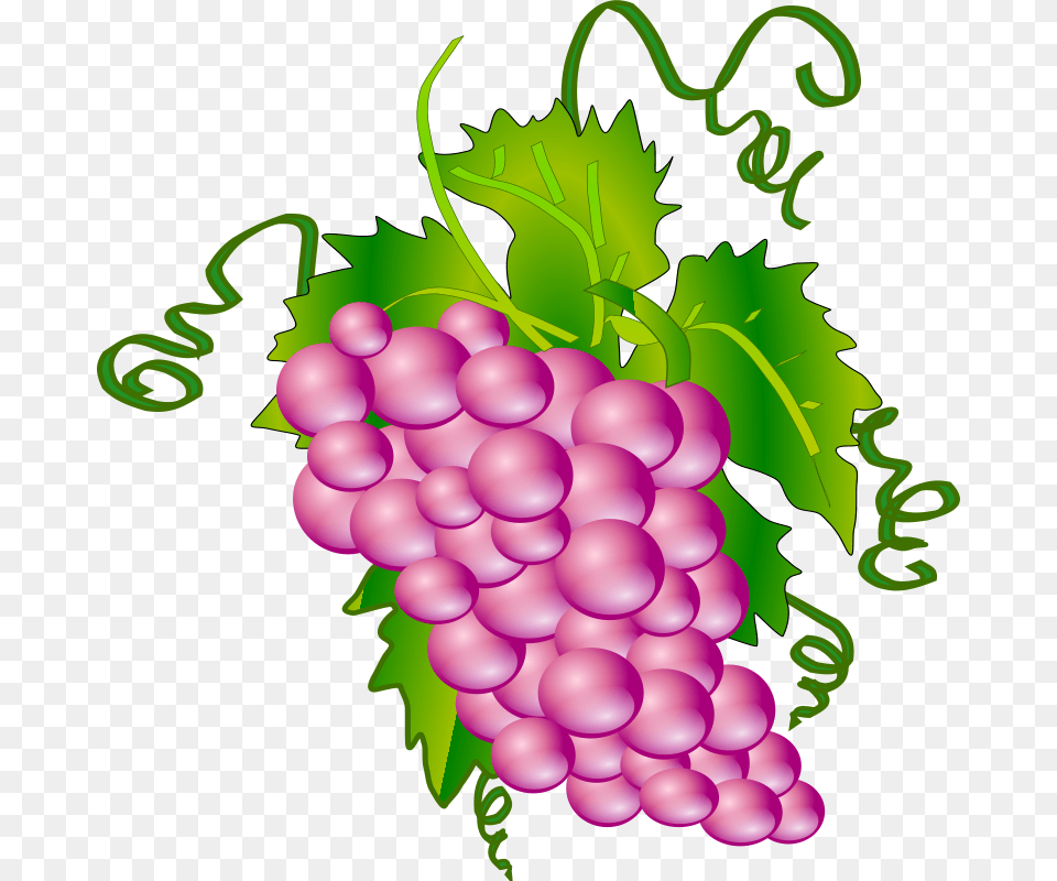 Clipart, Food, Fruit, Grapes, Plant Free Png Download