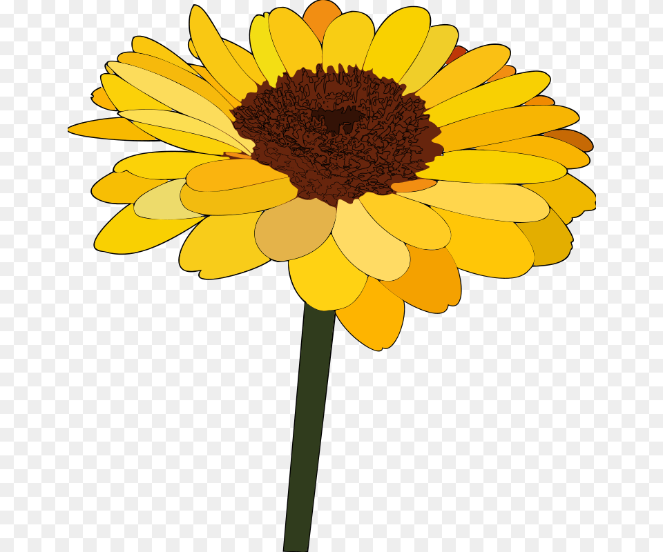 Clipart, Daisy, Flower, Plant, Sunflower Png Image