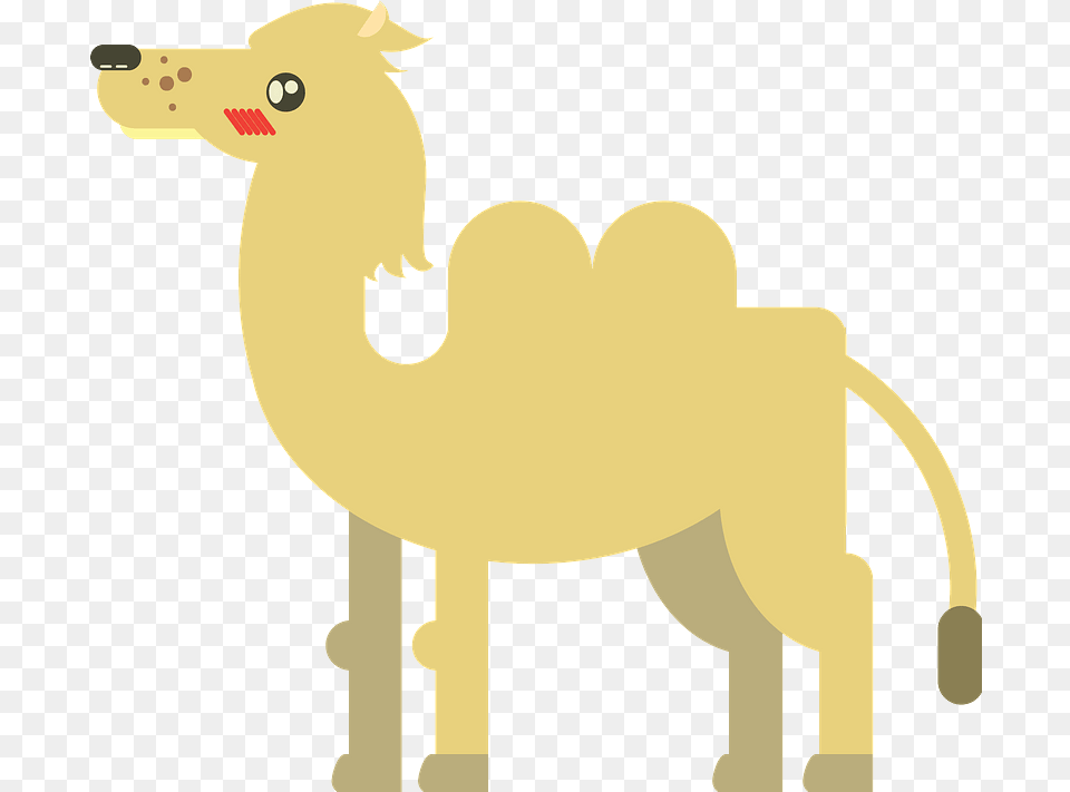 Clipart, Animal, Camel, Mammal, Baby Free Transparent Png