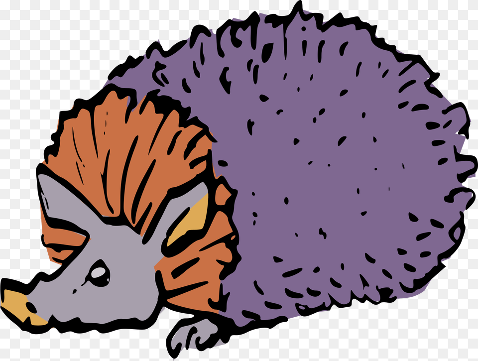 Clipart, Animal, Hedgehog, Mammal, Face Png Image