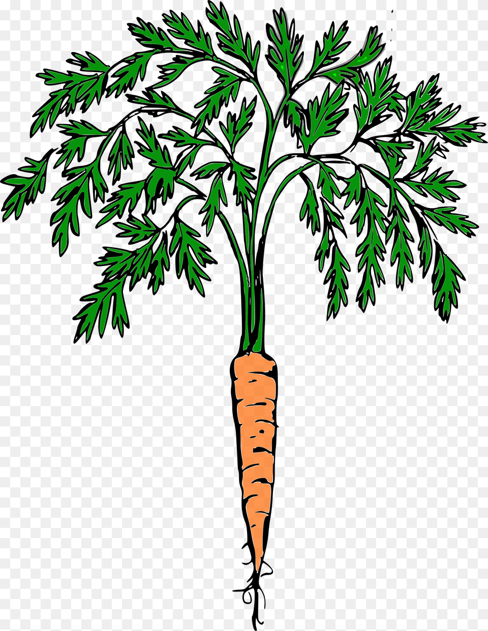 Clipart, Carrot, Food, Plant, Produce Png Image