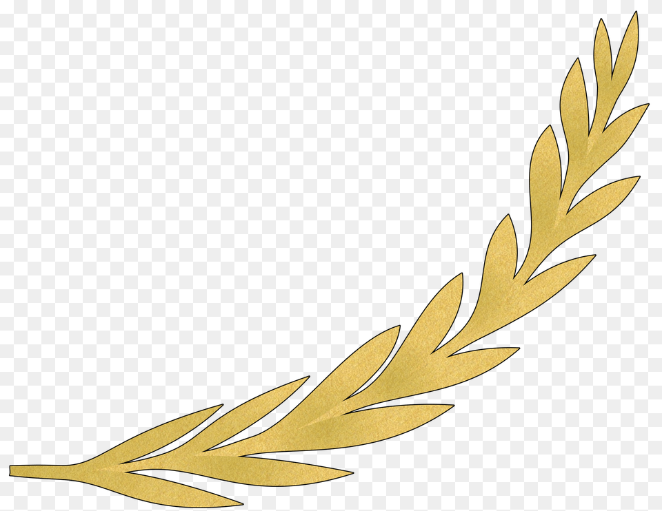 Clipart, Grass, Leaf, Plant, Tree Png