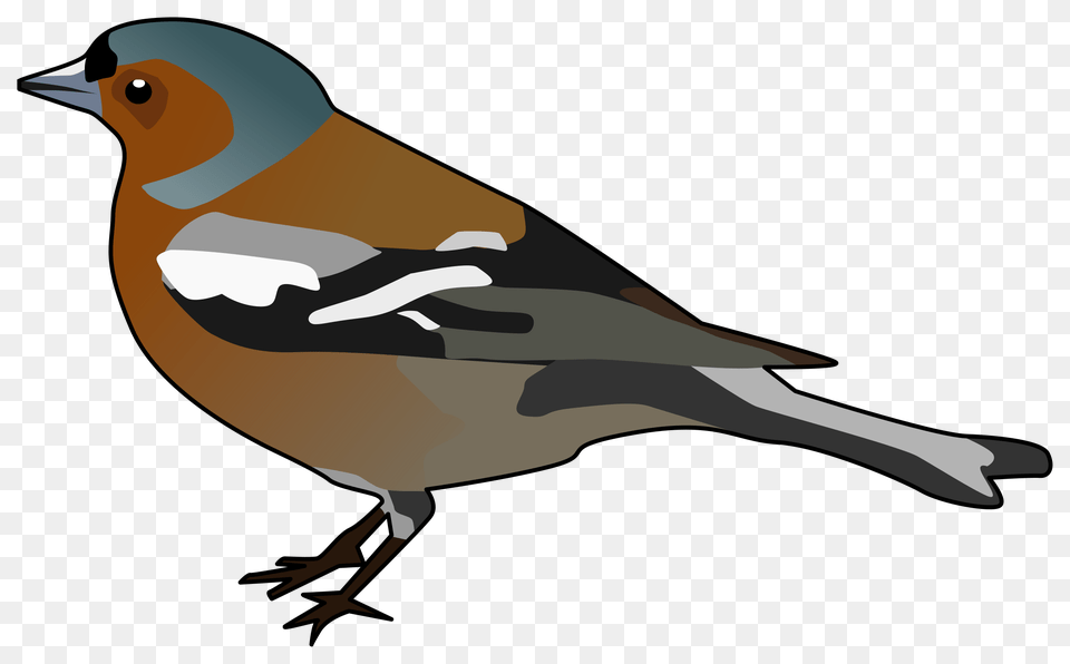 Clipart, Animal, Bird, Finch, Fish Free Png