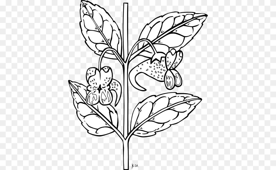 Clipart, Leaf, Plant, Art, Drawing Png