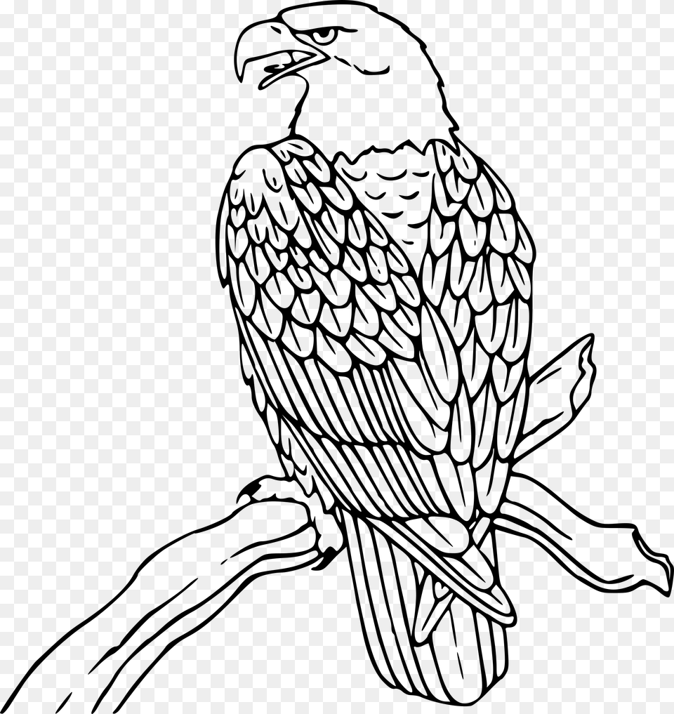 Clipart, Gray Png
