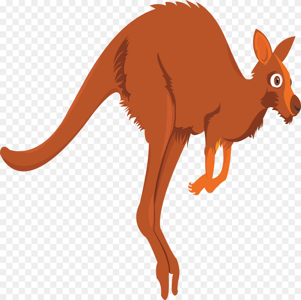 Clipart, Animal, Mammal, Kangaroo Png