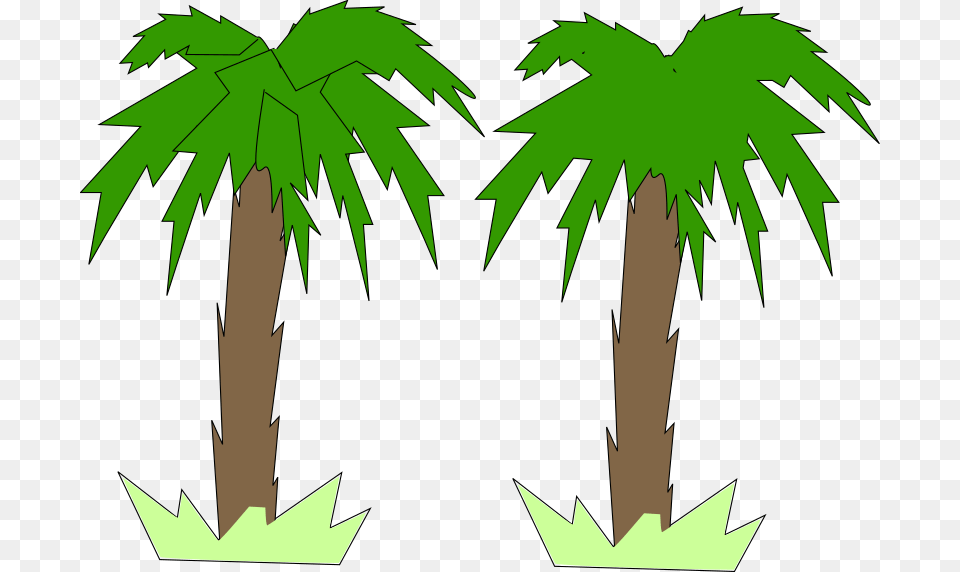 Clipart, Leaf, Palm Tree, Plant, Tree Free Png Download