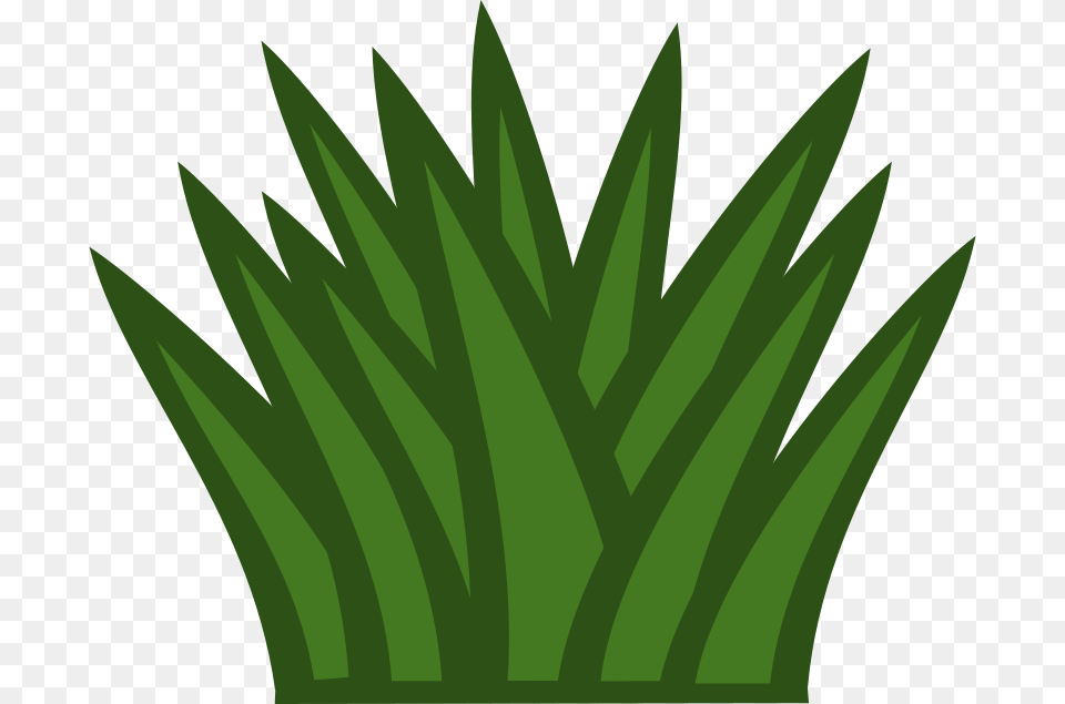 Clipart, Grass, Green, Leaf, Plant Png Image