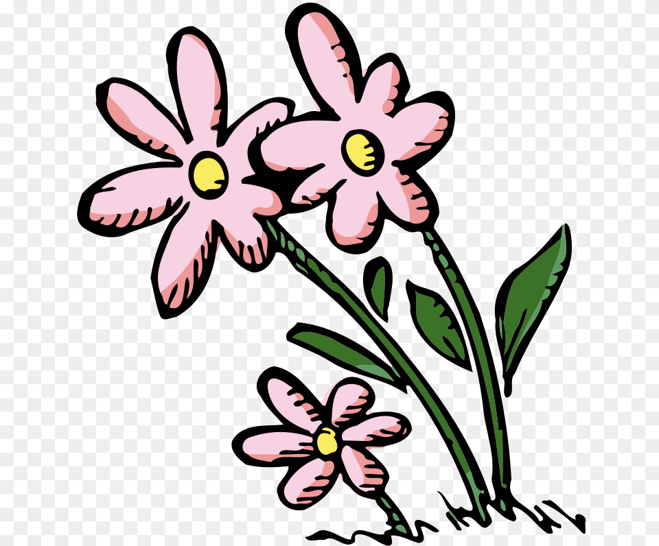 Clipart, Plant, Daisy, Flower, Petal Png Image