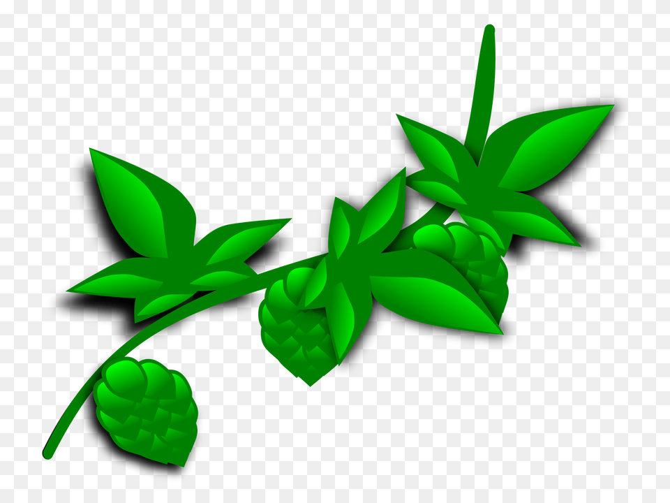 Clipart, Green, Herbal, Herbs, Leaf Png