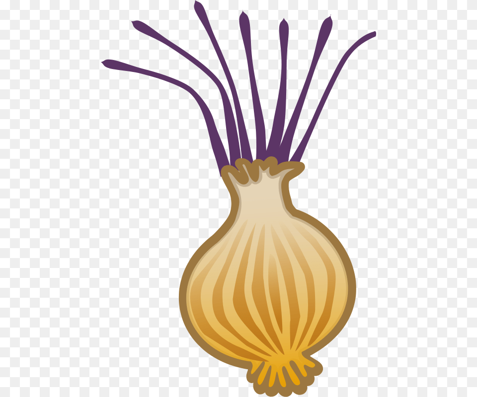 Clipart, Food, Produce, Onion, Plant Free Transparent Png